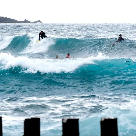 Apartamento Fronton Whale