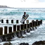 Fronton Whale