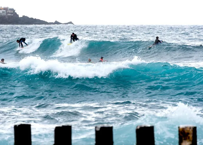 Appartement Fronton Whale