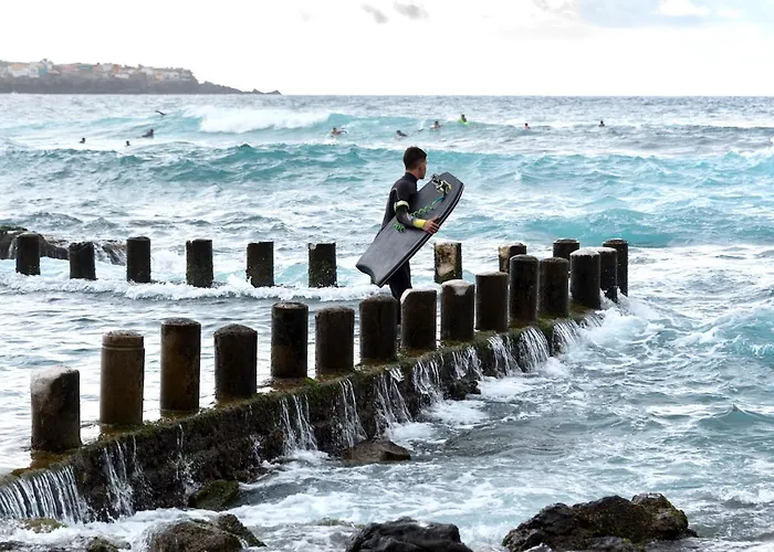 Fronton Whale